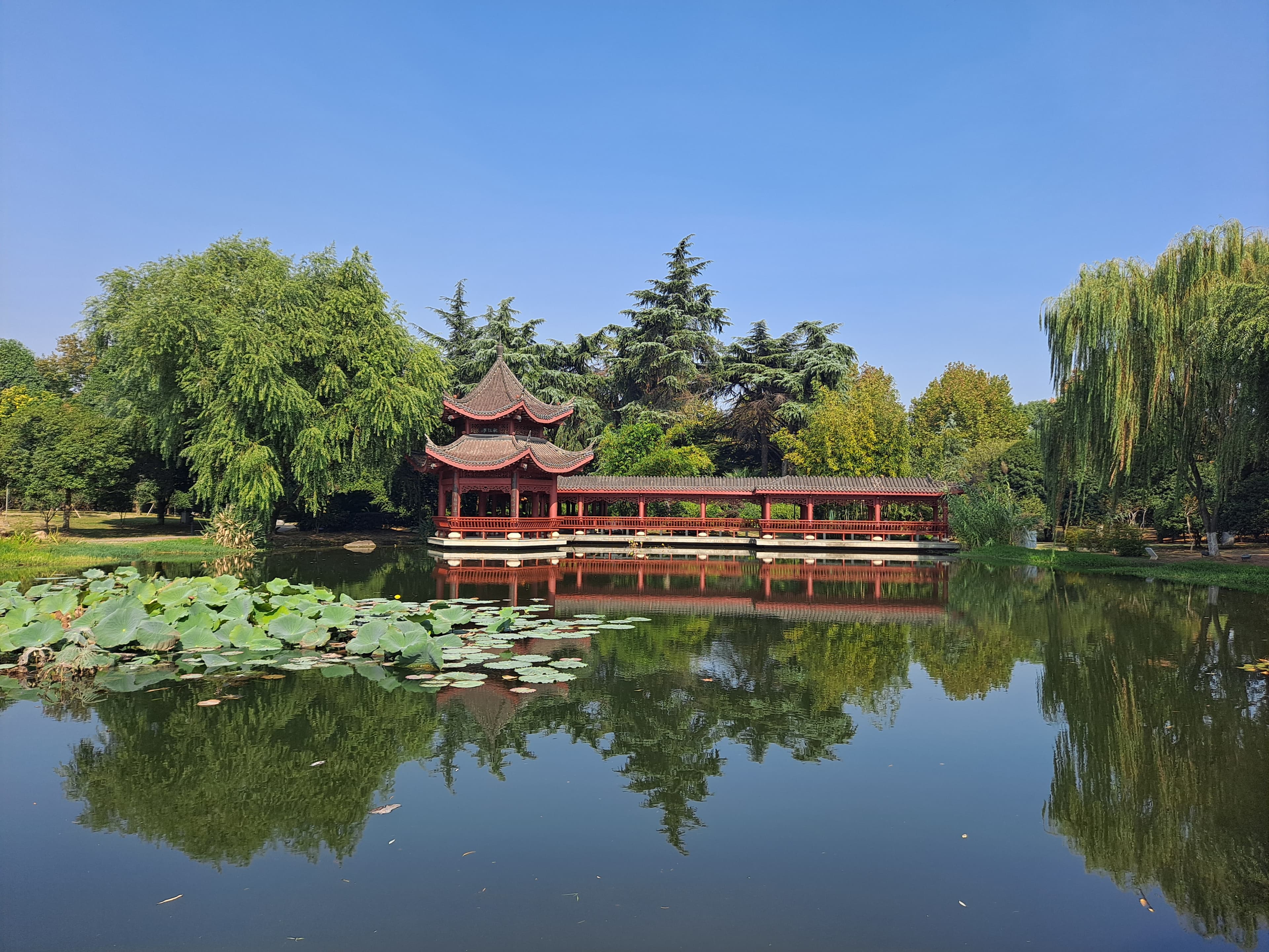 Saturday-night fireworks bursting above Orange Isle and reflecting on the Xiang River, with the Changsha skyline behind