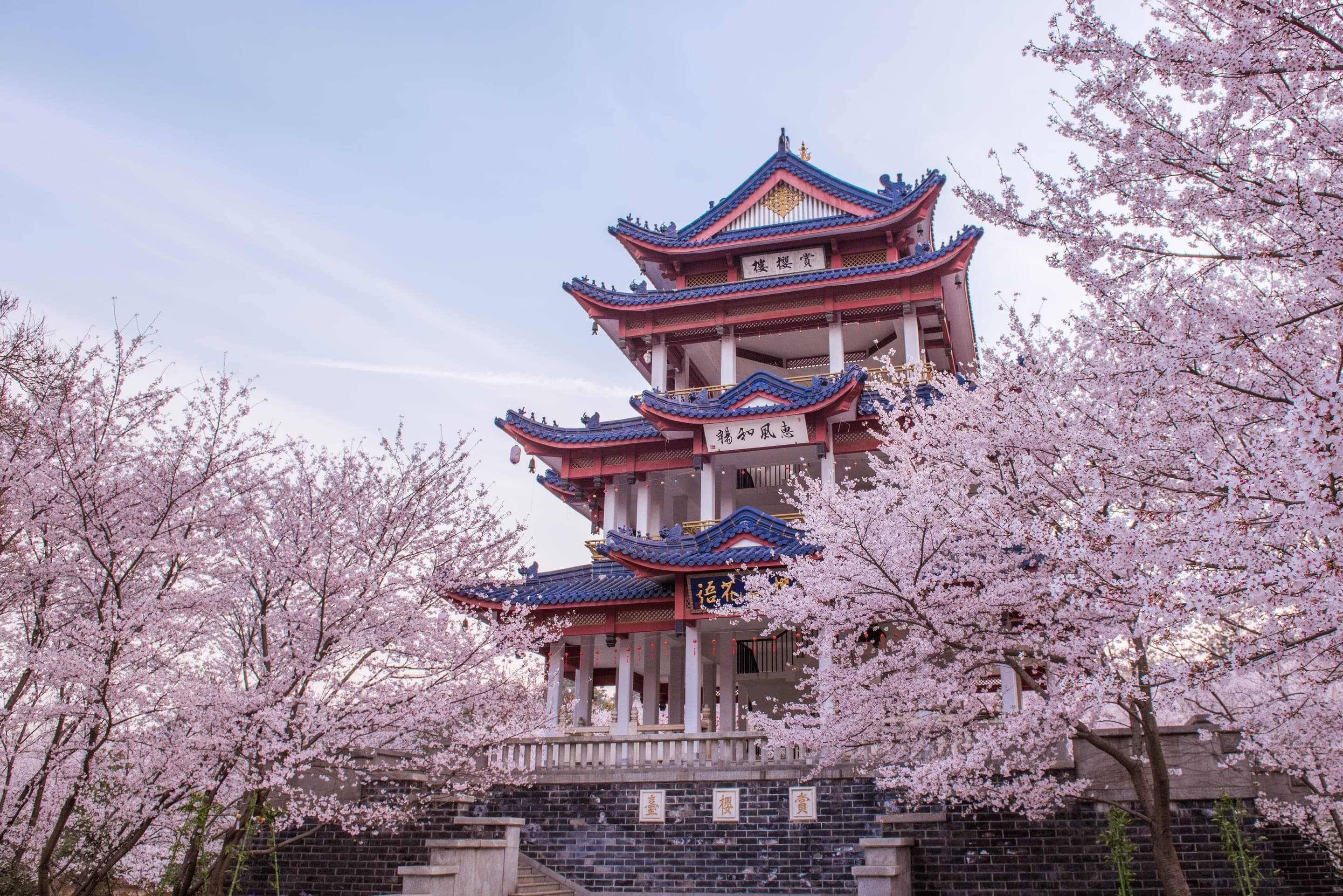 中国景致中春日花树盛放，唯有那个月才看得到的景象