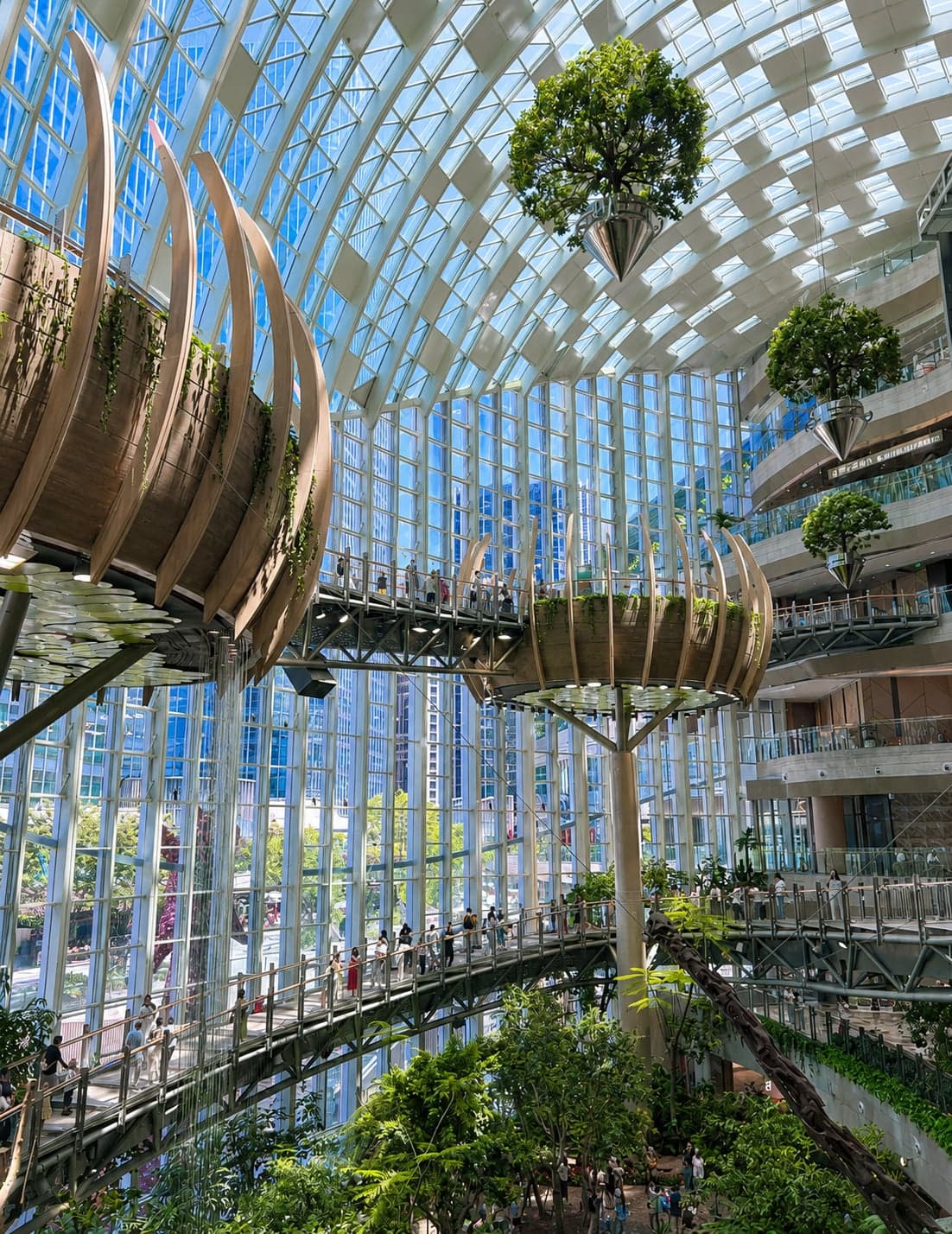 The Forest of Light indoor biosphere atrium at the Halo Shopping Park in Shapingba, Chongqing, tropical plants hung around a multi-storey waterfall