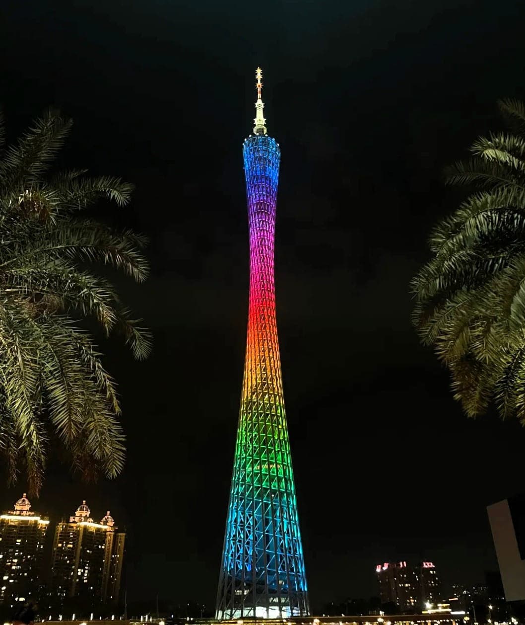 夜色中的广州塔，双曲面钢架流转全色灯光，棕榈枝影自两侧入画，广州