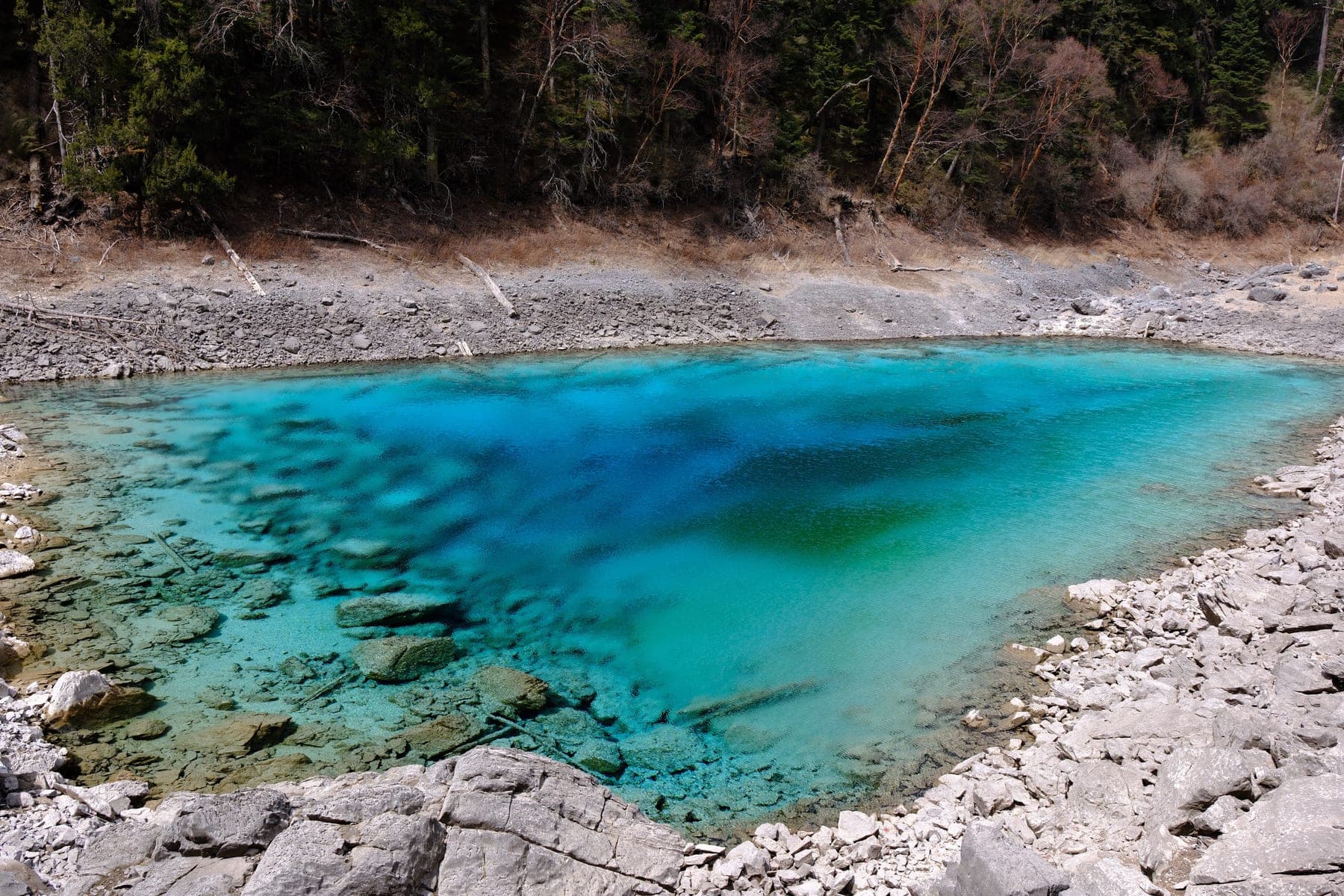 九寨沟则查洼上段的五彩池，一汪小小钙华盆地里盛着浓翠湖水，岸边乱石为前景