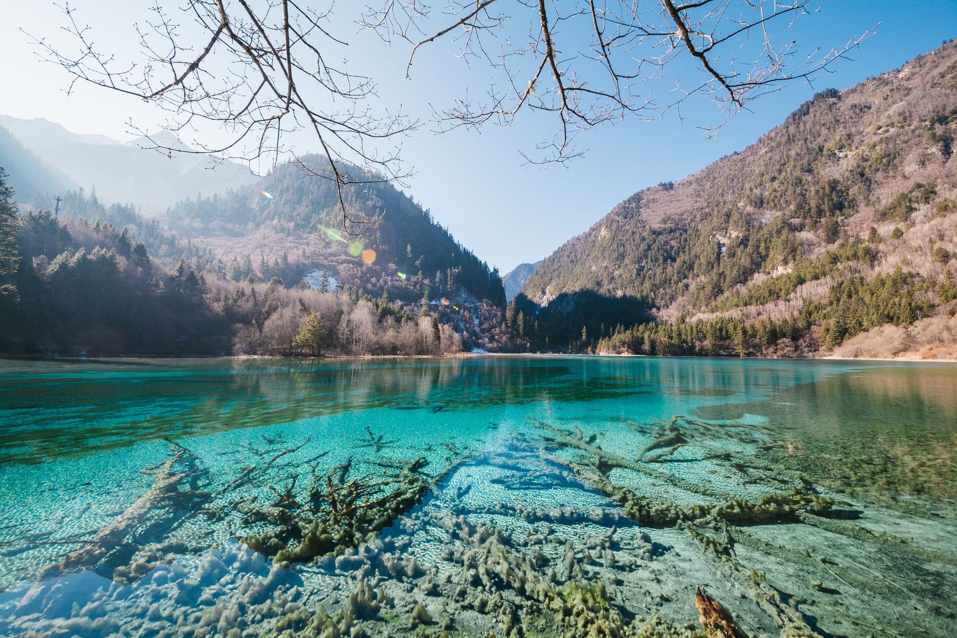 九寨沟犀牛海，碧蓝湖水澄澈见底，水下倒木清晰可见；岸上桦枝于顶端入画，对岸山林沐于冬日清光之中