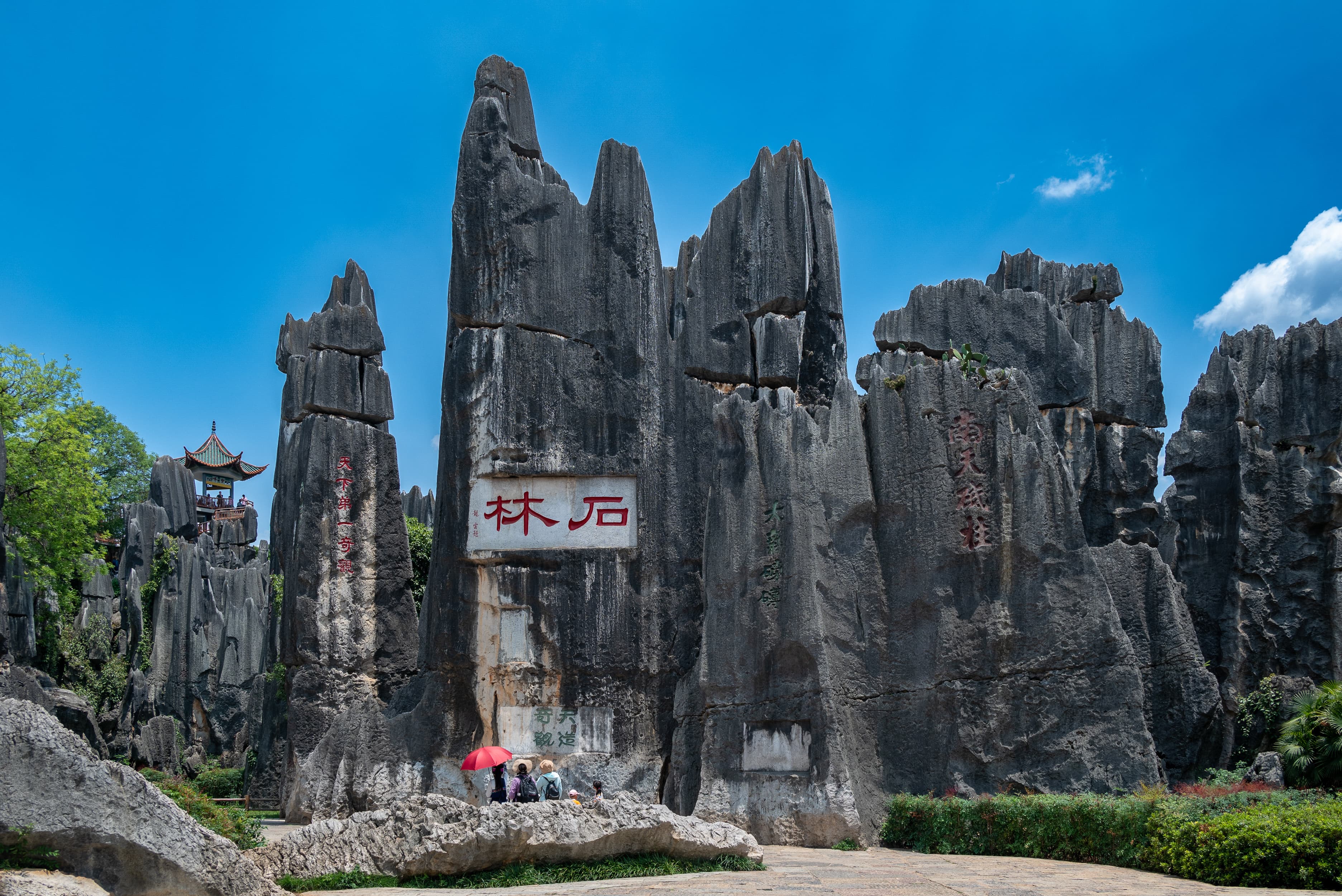 Limestone pillars of Shilin Stone Forest at first light, Kunming