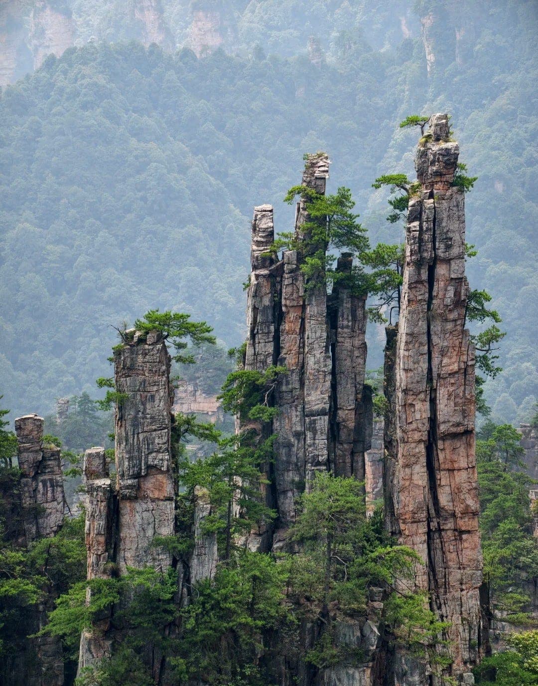 袁家界以北天子山山脊上的御笔峰，松冠砂岩石柱高耸于武陵源的全景之中