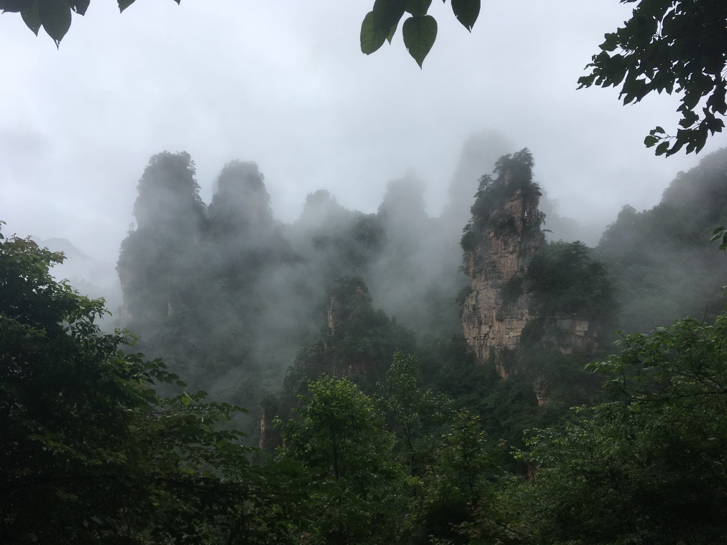 袁家界以北的天子山山脊一线，沙岩石峰穿云而立，铺展于武陵源的全景之中