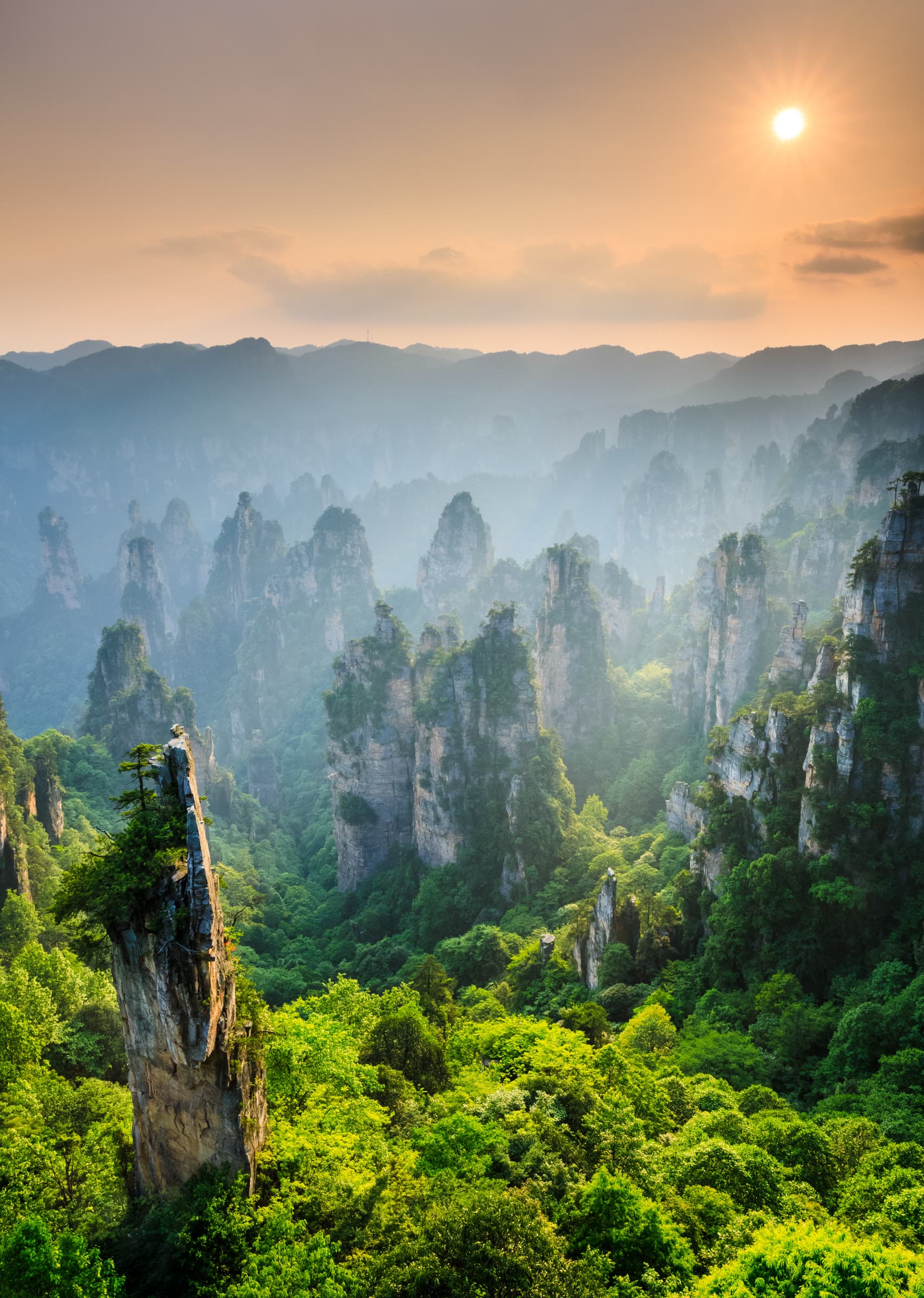 Quartz-sandstone pillars of Wulingyuan rising above the forested valley floor in morning mist