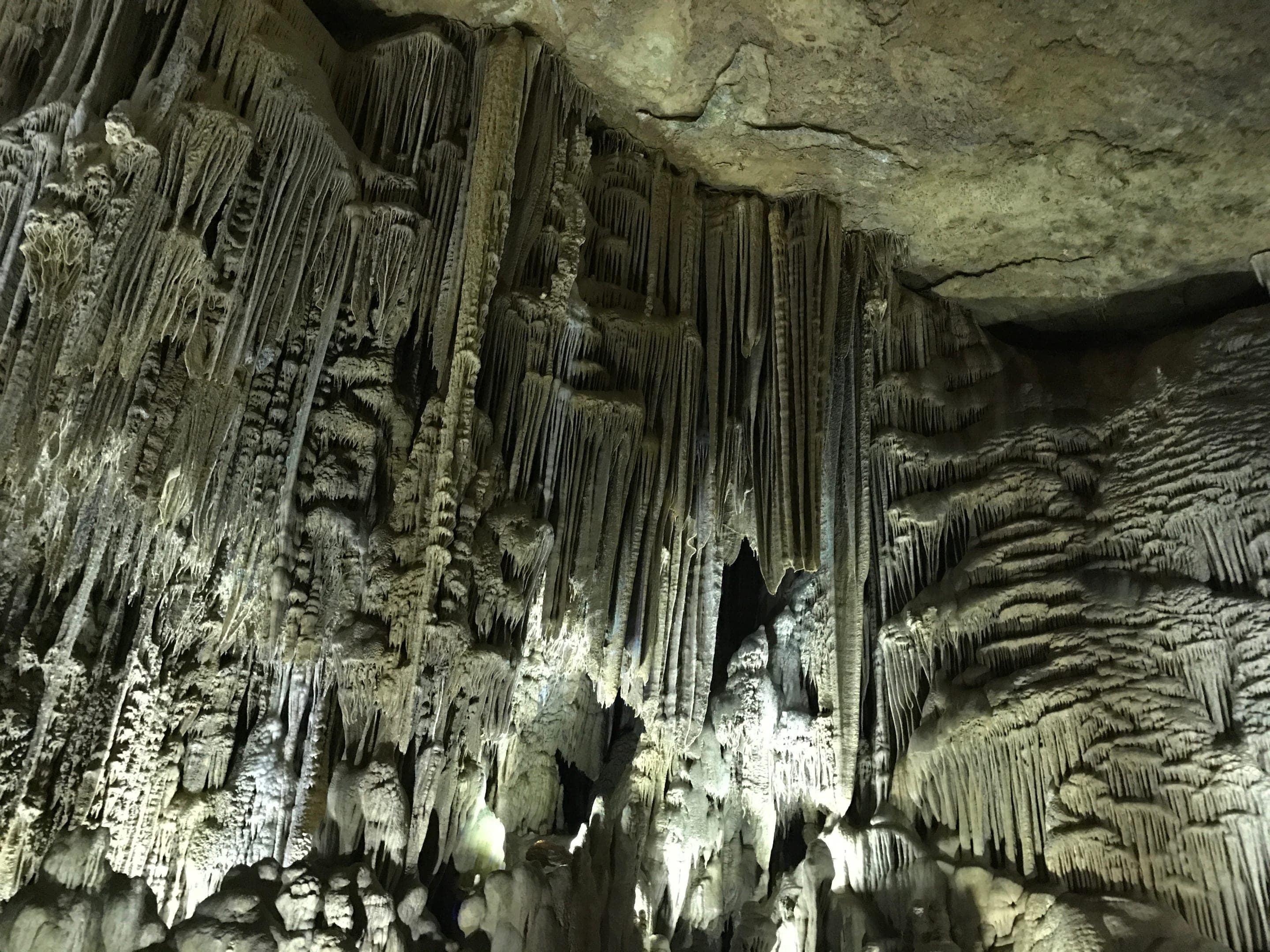 Zhijin Cave 2019 02.jpg