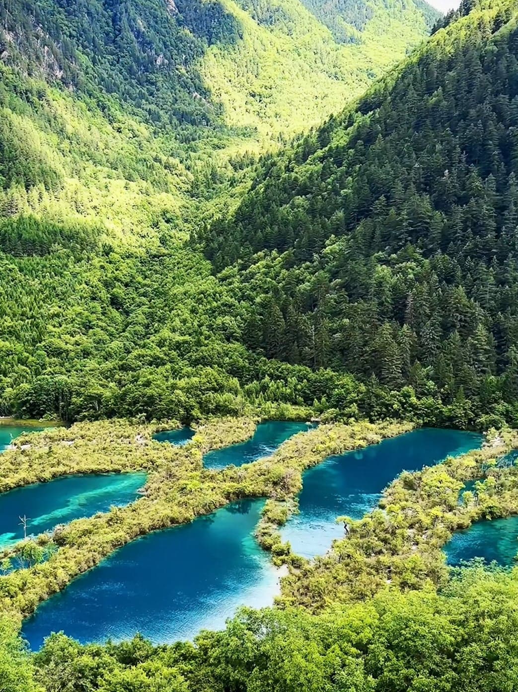 九寨沟树正群海,相连的几方翡翠与碧蓝小湖沿钙华堤层层而下,山坡之上立着一座藏族村寨