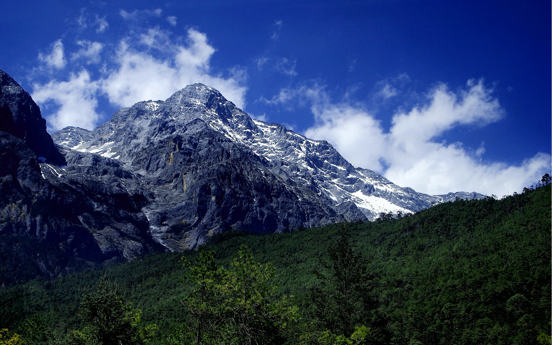 玉龙雪山立于丽江以北,纳西人之神山,雪脊立于山脚松林之上