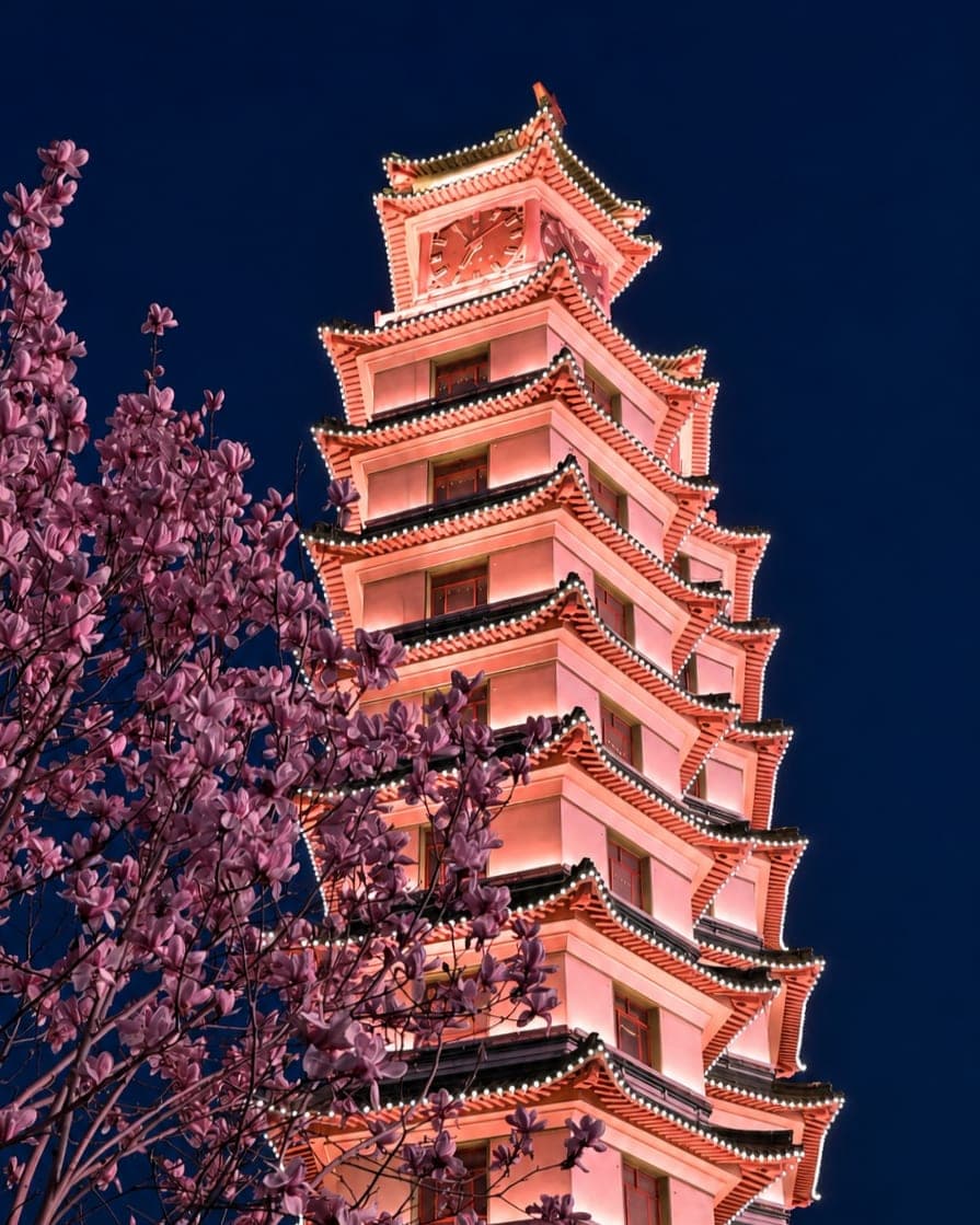 二七纪念塔上层塔身于夜色之中暖光铺面,飞檐与塔顶红星之下一株玉兰春日盛放,郑州 1971 年所立铁路罢工纪念塔