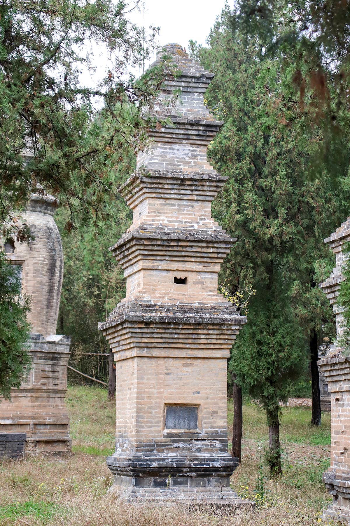 Brick and stone burial pagodas of generations of Shaolin abbots in the Pagoda Forest, cypress trees behind, Dengfeng