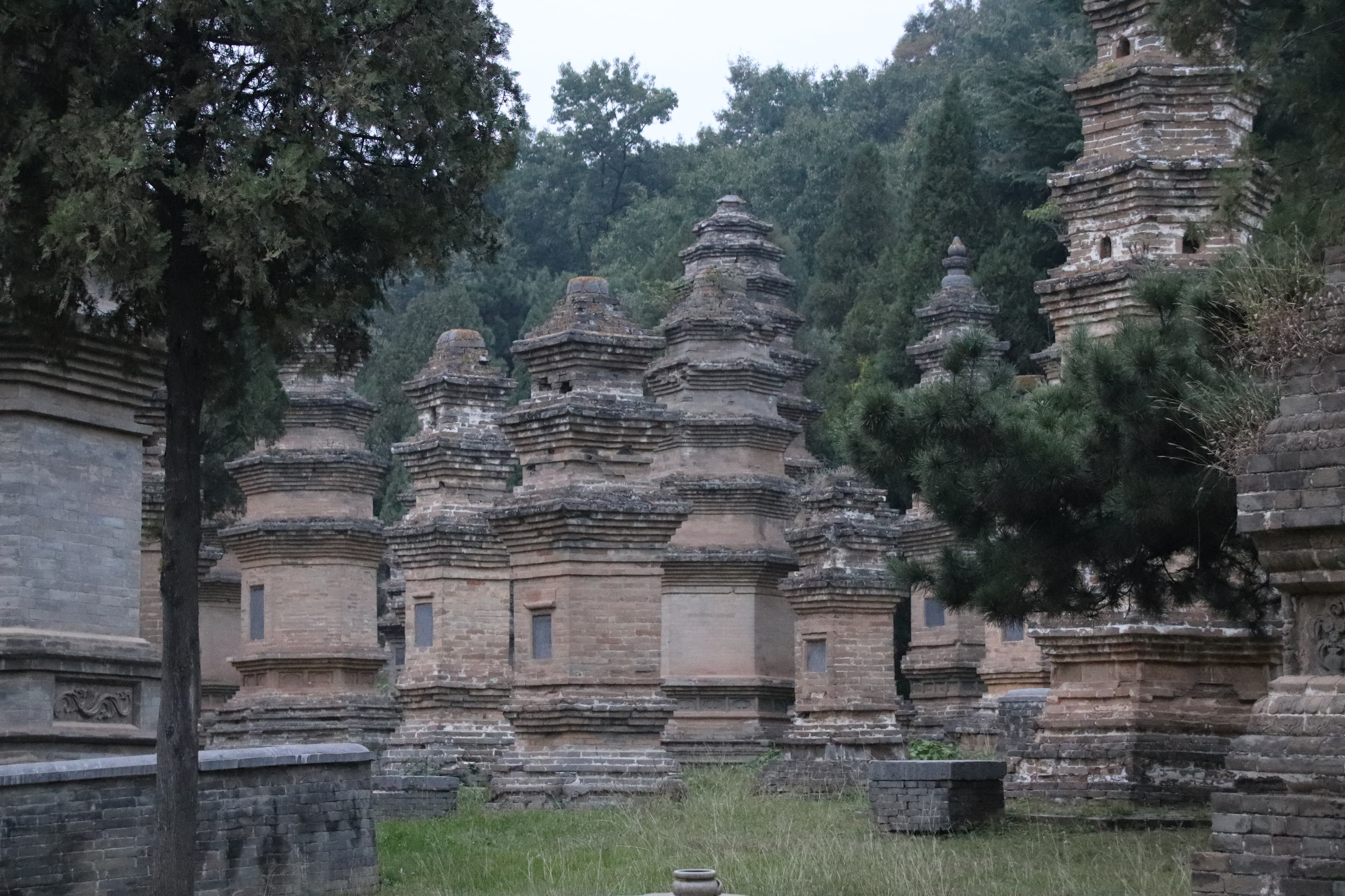 The Pagoda Forest at Shaolin Temple, generations of brick and stone stupas standing at the foot of Mount Songshan, Dengfeng